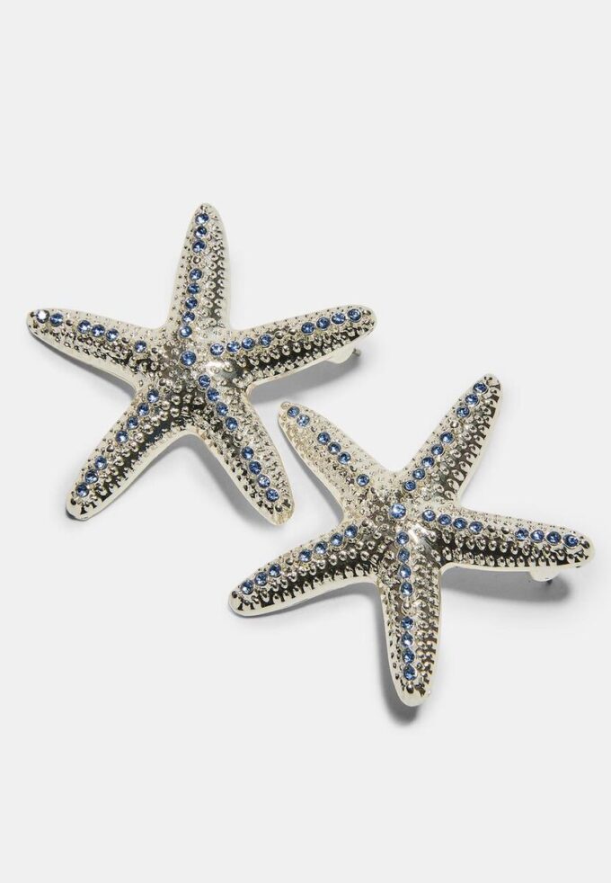 Brincos de estrela do mar