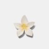 Clip de Flor