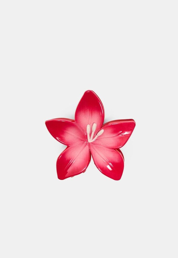 Clip de Flor