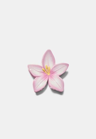 Clip de Flor