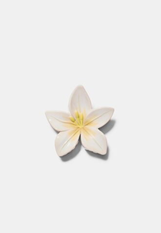 Clip de Flor
