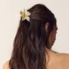 Clip de Flor