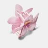 Clip de Flor