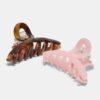 Conjunto de 2 Clips Pequenos