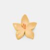 Ganchos de cabelo com flores