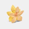 Ganchos de cabelo com flores